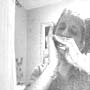 Avatar utente